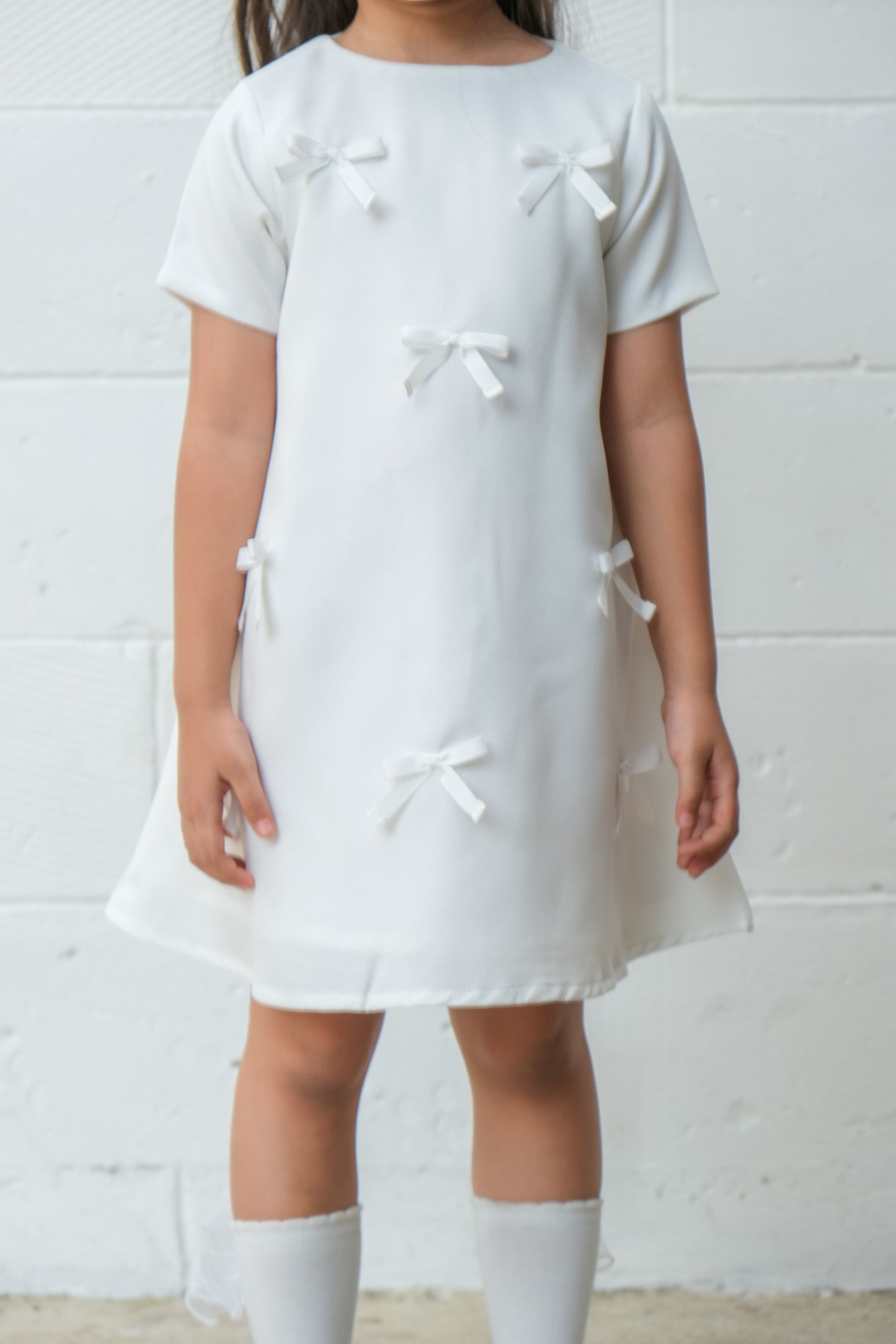 Hollyberry Dress